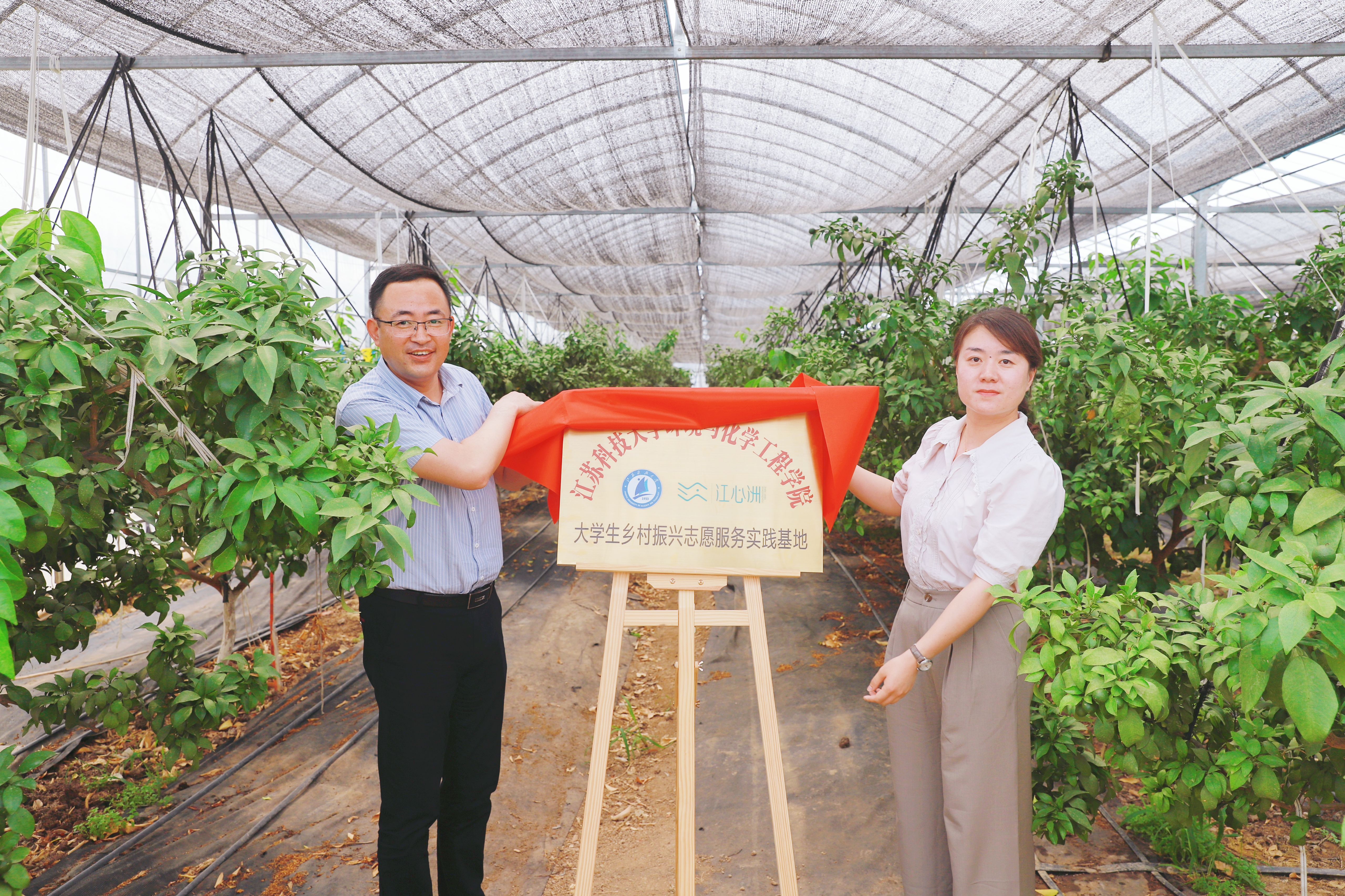 1718356463396211.jpg 图5.jpg