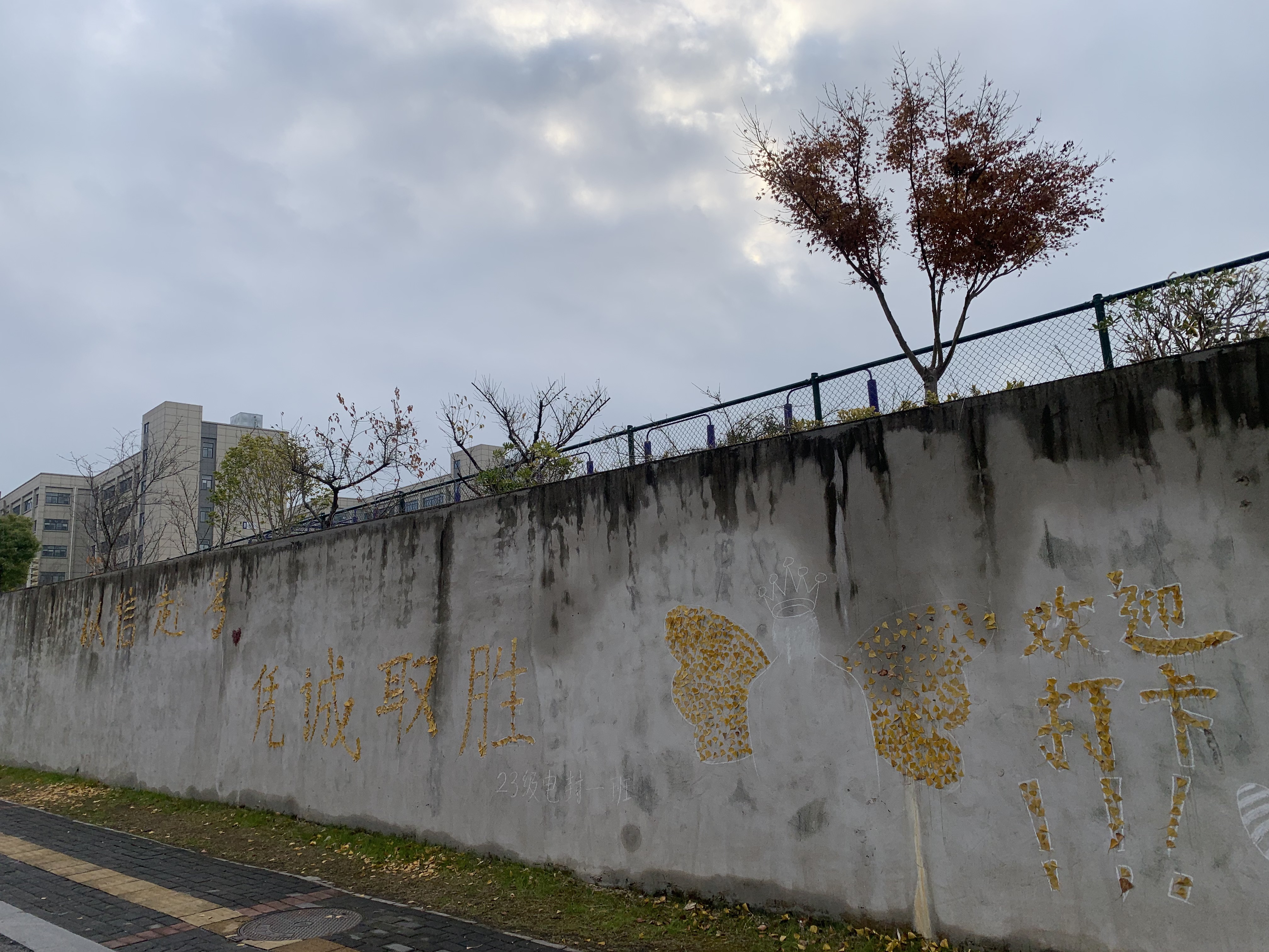 1734315067357976.png 照片2.png