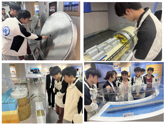 1717126431486409.png 2.png