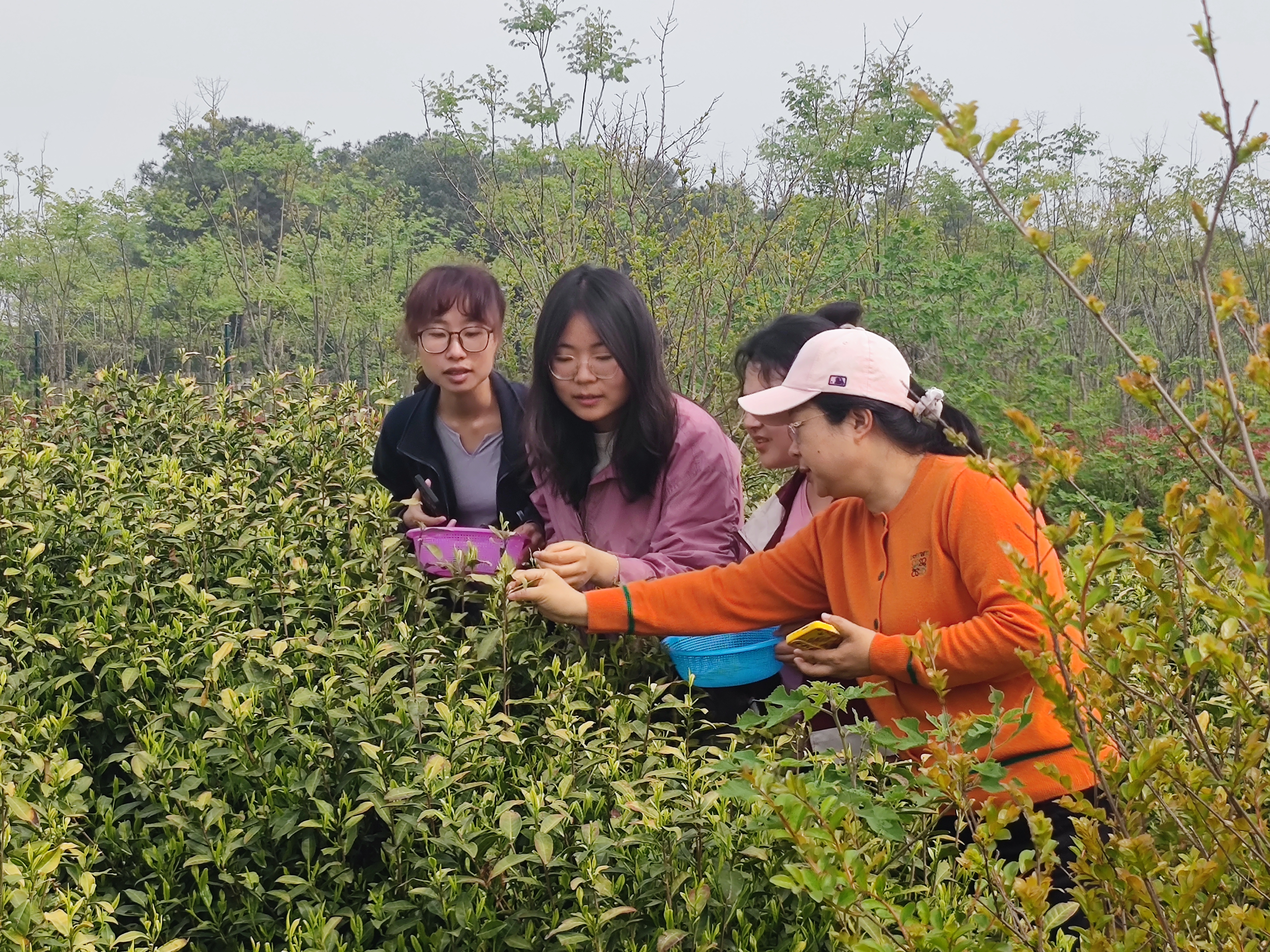 1713404627263007.jpg 1713404627263007.jpg