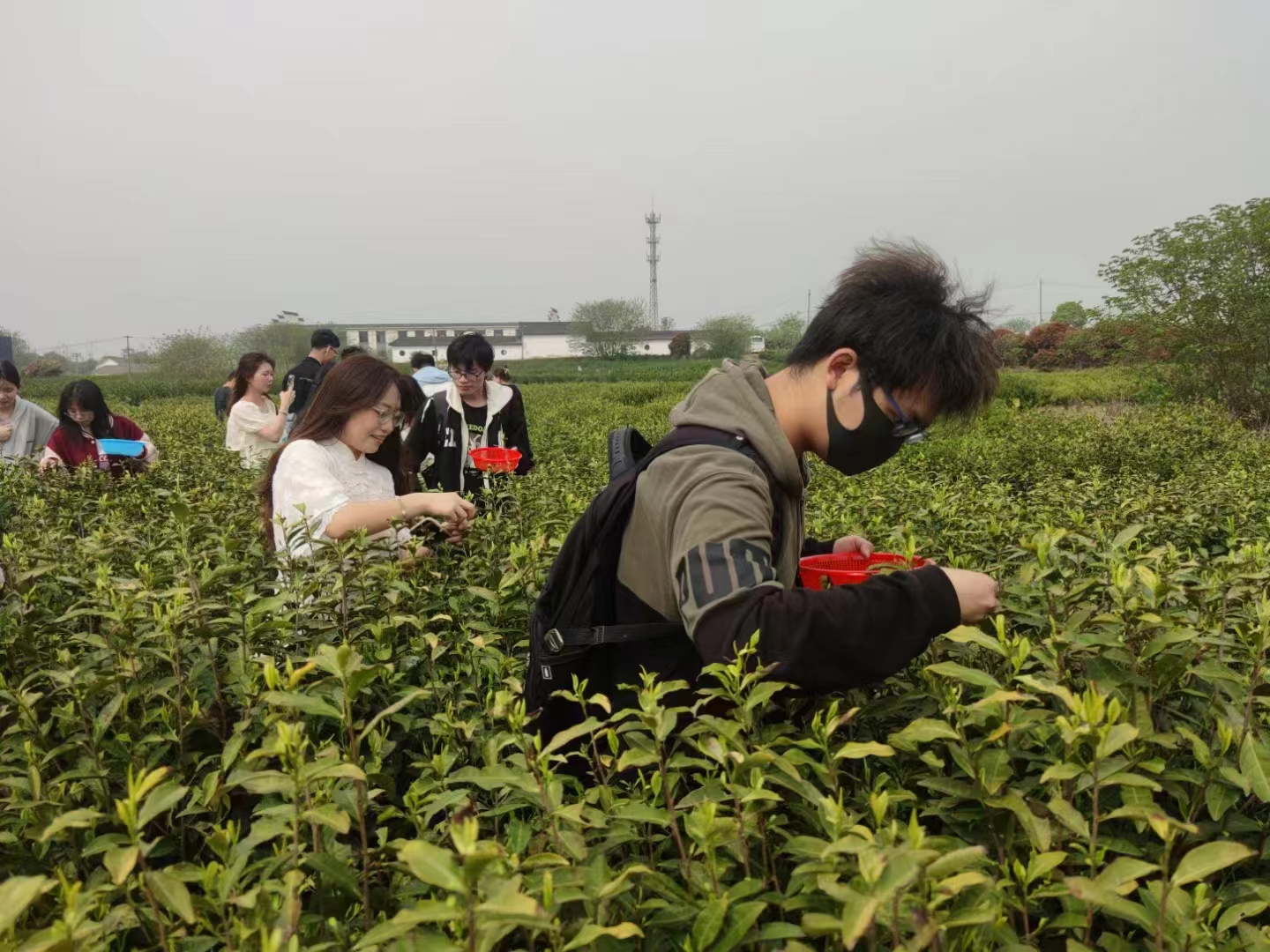 1713404657684527.jpg 1713404657684527.jpg