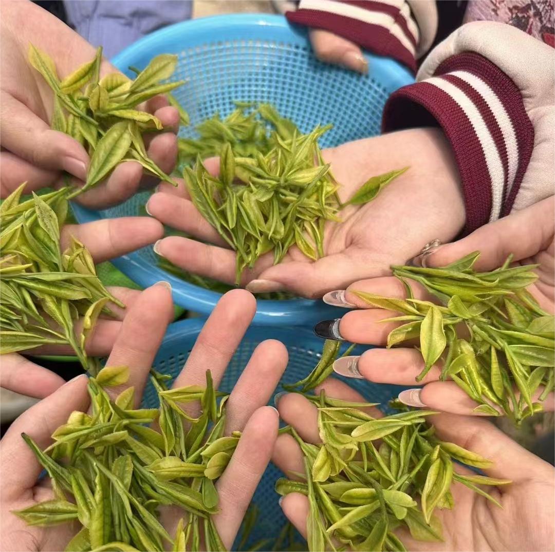 1713404671629307.jpg 1713404671629307.jpg