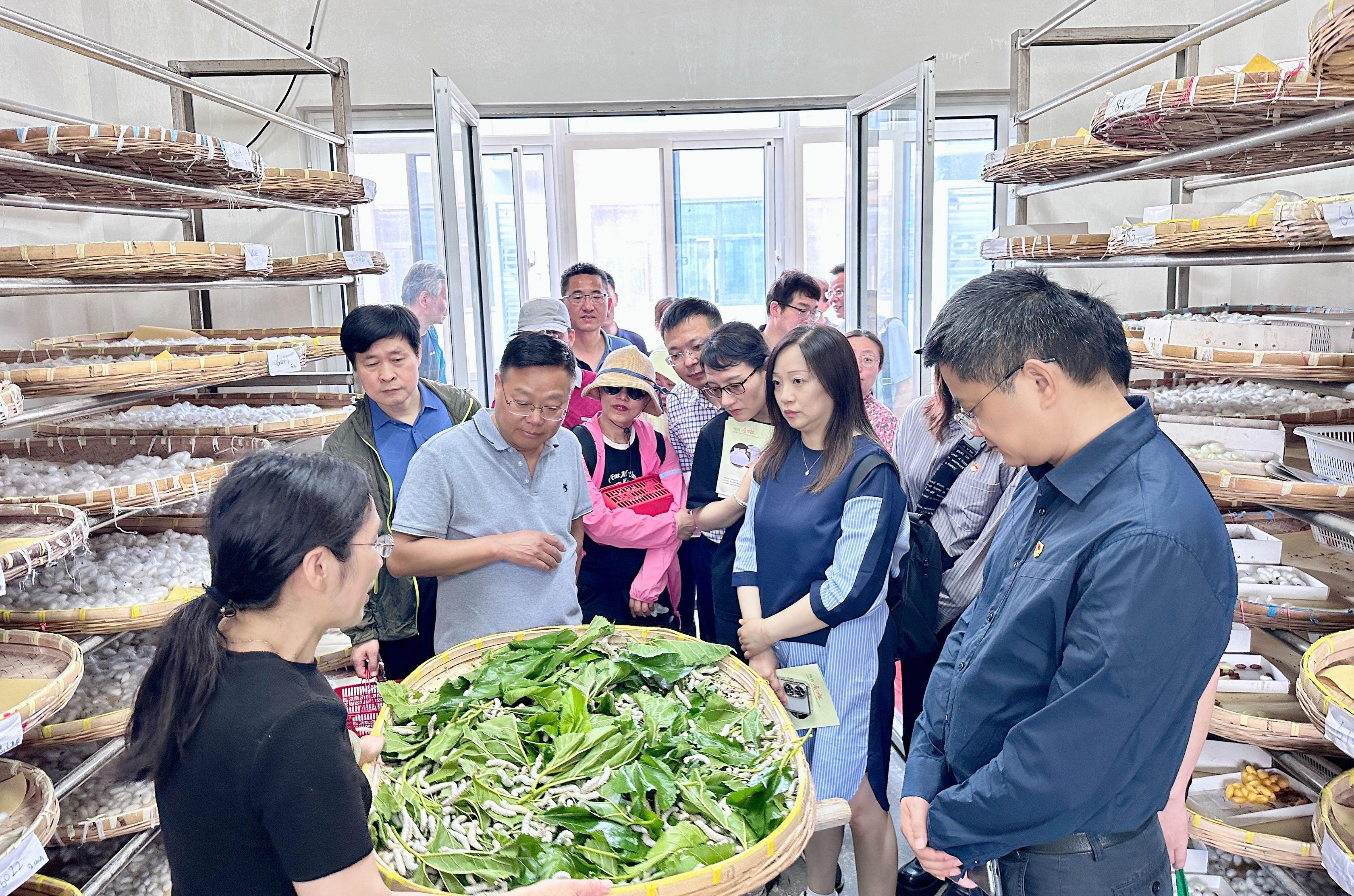 1716774386195564.png 1716774386195564.png