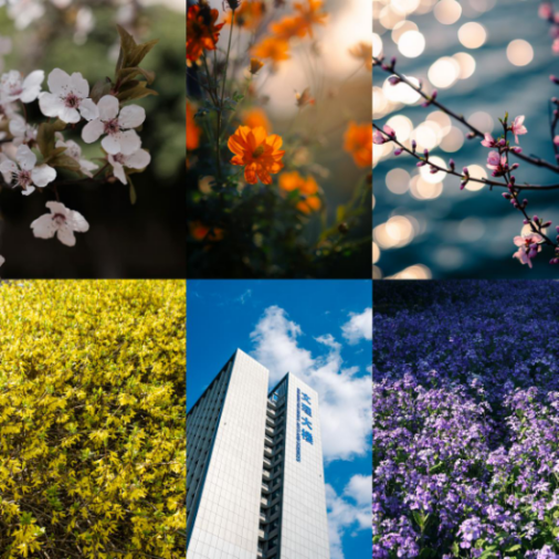 1742952475178804.png image.png